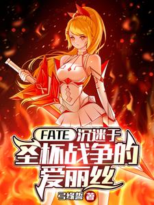 FATE:沉迷圣杯战争的爱丽丝